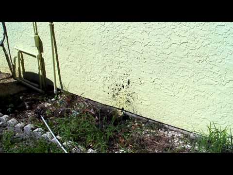 how to vent under houses