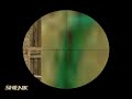 shenk big headshots on ac