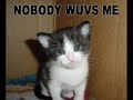 ***** vERY fUNNY cATS 9 ***** - Thumb #2