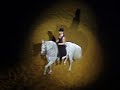 White Lusitano Stallion At \" Apassionata Hommage \"