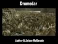 Dromedar Tiere Animals Natur SelMcKenzie Selzer-McKenzie