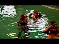 Tertnes Idrettsskole: Prøvedykking hos Nemo Classic Diving! #4