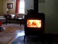 Wood stove fire