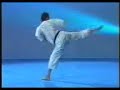 Kata JKA - NIJU SHIHO