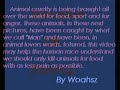 animal cruelty and abuse