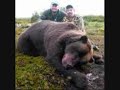 Animal Cruelty And Abuse
