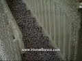 venta casa Miami, BUSCA y MIRA via VIDEOS (Gratis)