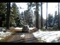 Käfer Tour im Allgäu