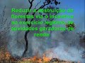 Trabalho interdisciplinar final