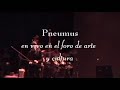 Pneumus en el foro de arte