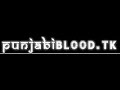 the punjabi blood   paisa
