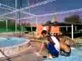 videos de La corrida en el balneario