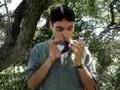 Saria's Song (Lost Woods) on Ocarina