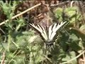 SF Watershed Hike