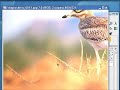 Gimp Tutorial