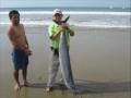 MANCORA PUNTA SAL AÑO NUEVO 2009