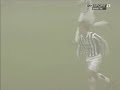 Atalanta V Juventus 0-2 Lanzafame