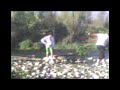 los rabiosos en perales 2