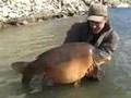 SBS Tactical Bait Products Team Germany