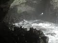 Sea Lion Cave in Yachats, Oregon