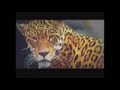 DJ Dumato - namata psytrance