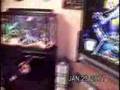 Assistir ao vídeo