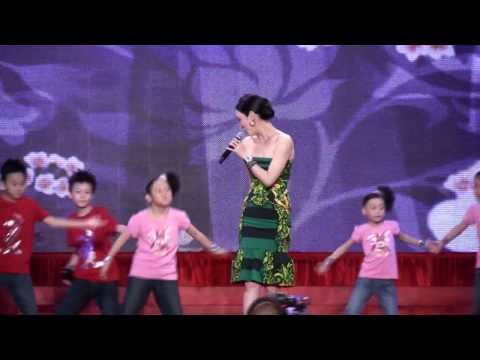 CNY 2011 - Fann Wong 范文芳