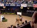 2008 ASPCA Maclay Finals--Ride Off