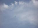 hard 3d flying till motor dies