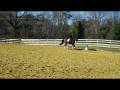 videos de Zen Clinic