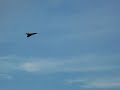 The final flight