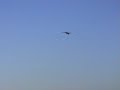 Cap 232 (Aeromodelisme) Cap 232 (Aeromodelisme)