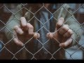 Taichi feat. Mok - Bruder (taichi-musik.de)