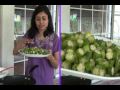 Bhindi Sabji - Bhinda nu shak - Okra curry