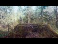 Puszcza Białowieska - Rezerwat Krajobrazowy Władysława Szafera
