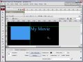 Edit Guides in Flash CS3
