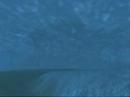 survivor-craft.html