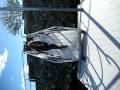 videos de melissa sliding down dock