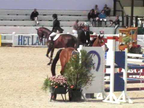 Marinus den Doelder Daoni 4y
