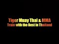 Jason Saggo(Tiger Muay Thai) wins fight by KO Headkick