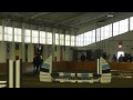 Mount Holyoke IEA Show