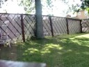 ME (Robby) Flippin Of Tree