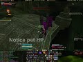 Pet Bug Pet Bug