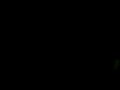 podina group