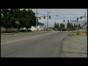 Waste-wielding vandal released on bond