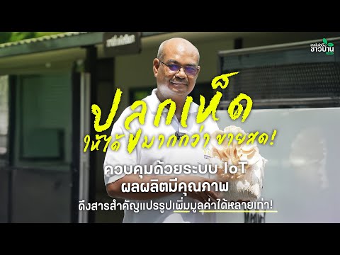 ปลูกเห็ด ควบคุมด้วยระบบ IoT ผลผลิตมีคุณภาพ | เทคโนโลยีชาวบ้าน