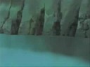 DX TV Folge 1 Naruto vs Sasuke Suck it Version - die �rzte schunder song