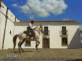 Click here to watch this video Equestrianism ~ Our Frozen Moment