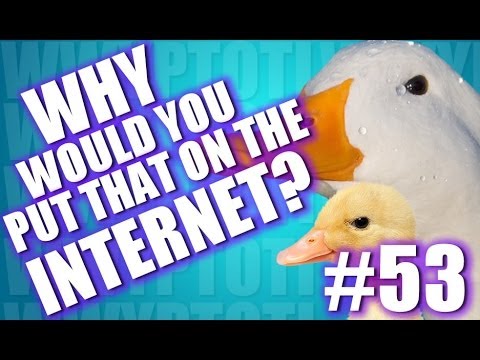 internet - Follow me on TWITCH!: http://www.twitch.tv/robdyke Seriously Strange Unexplained Disappearances: http://youtu.be/_E6aPMxM7b8 Watch last episode! http://youtu...