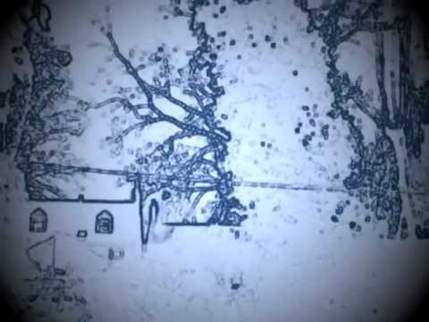 Treatment in Outline